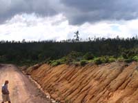 caracol-03-