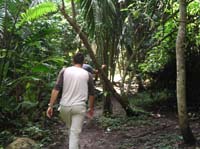 caracol-11-