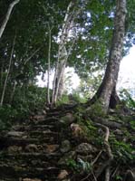 caracol-40-path-up