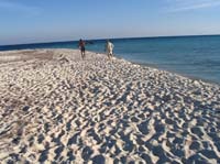 beach dangriga