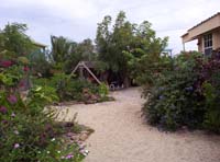 pla2-06-deb-dave-plants