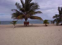 placencia beach
