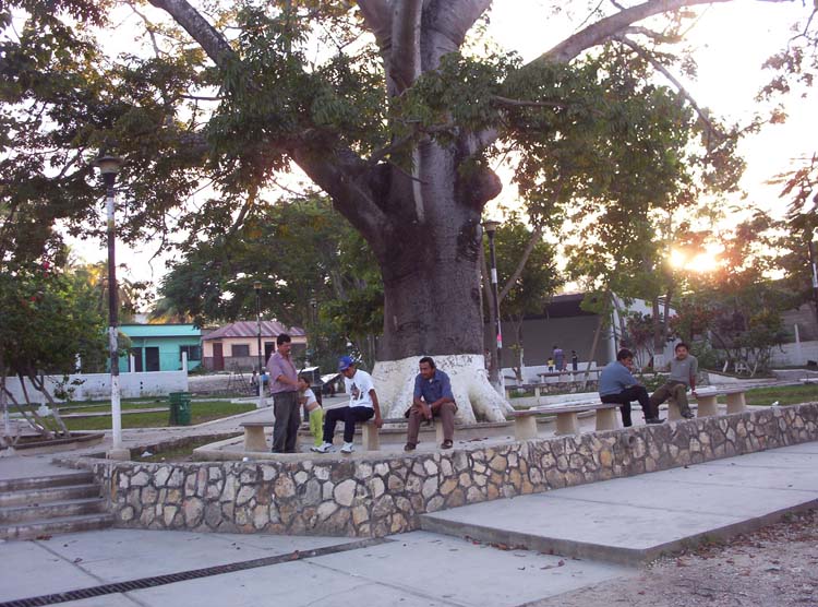 flores-29-st-elena-sq