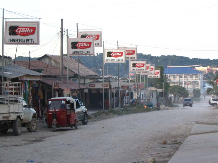 flores-31-st-elena-gallo-signs