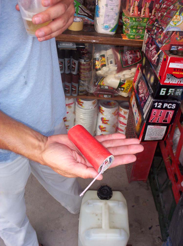 flores-33-elena-mkt-fireworks