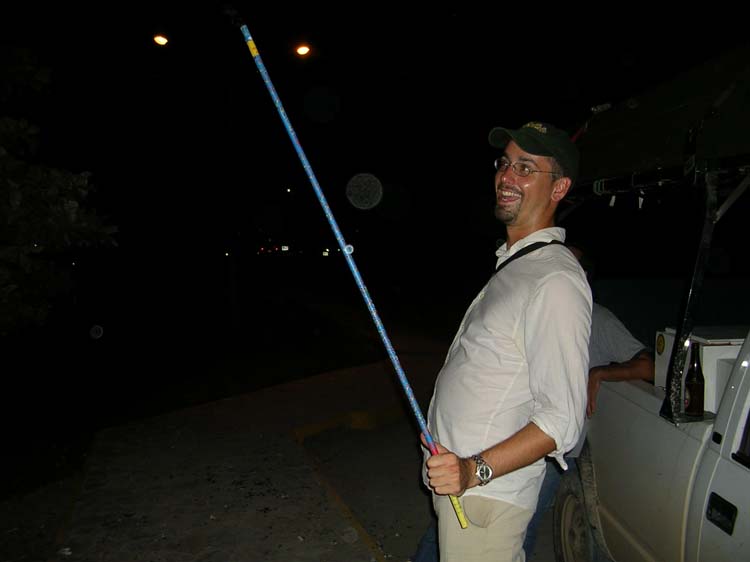 flores-38-roman-candle