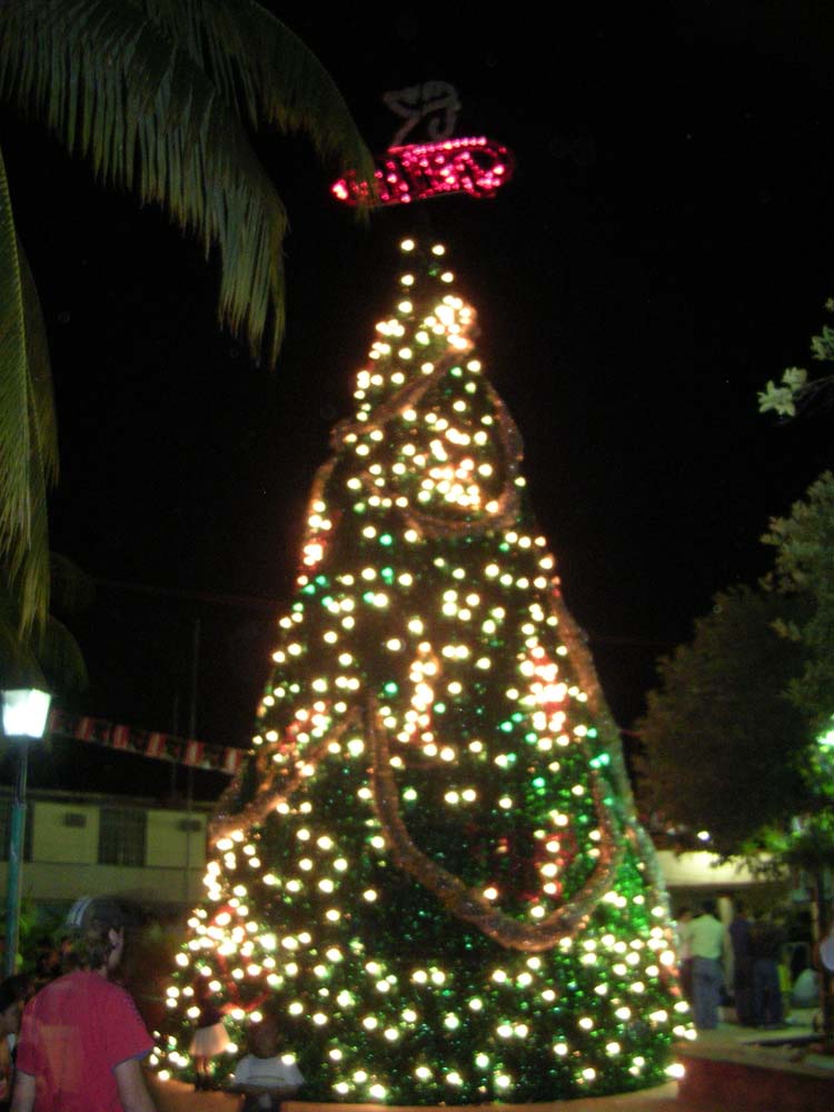 flores-50-sq-xmas-gallo-tree