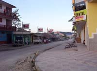 flores-30-elena-bars