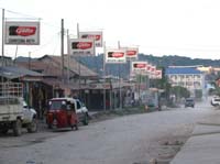 flores-31-st-elena-gallo-signs