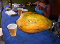 flores-44-bar-papaya