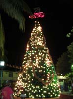flores-50-sq-xmas-gallo-tree