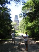 main temple at tikal photo