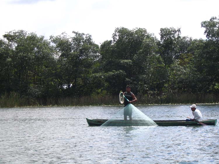 livingston-03-giant-cast-net