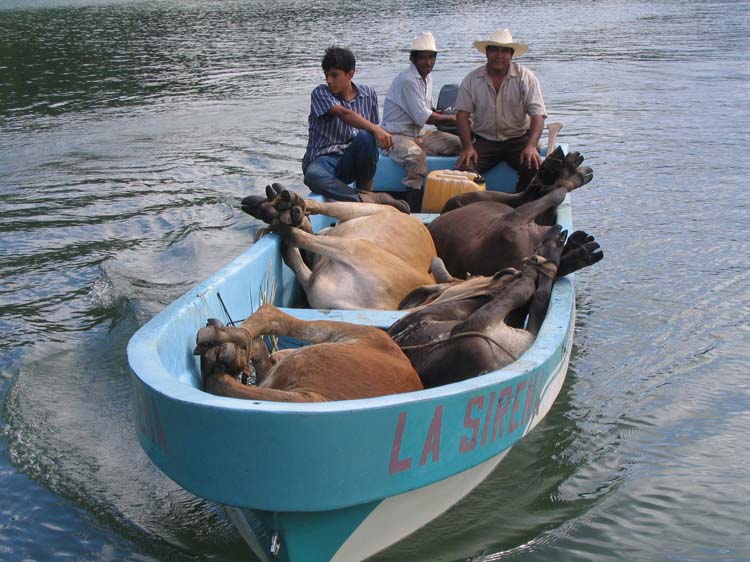 livingston-10-river-cowboys