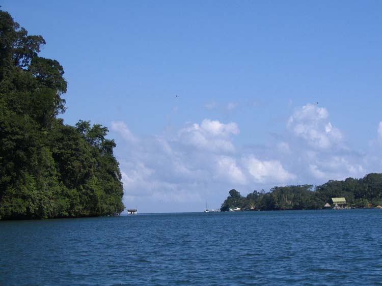 livingston-15-the-ocean