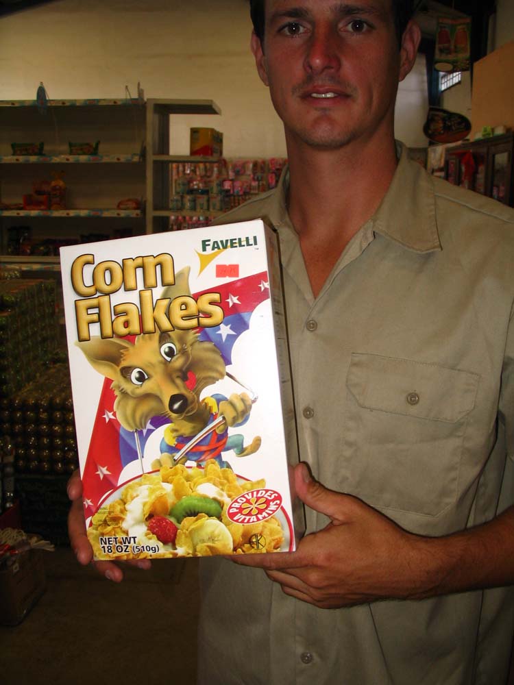 ant-43-corn-flakes