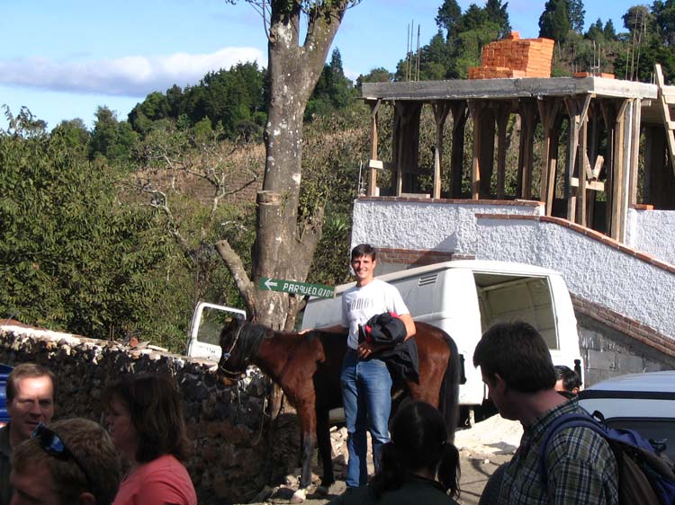 ant-vol-03-kyle-horse