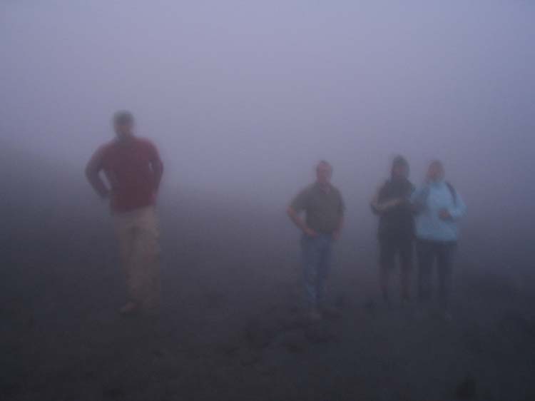 ant-vol-20-getting-dark