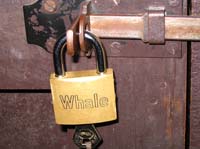 ant-06-i-gotta-whale