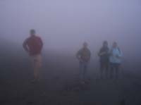 ant-vol-20-getting-dark