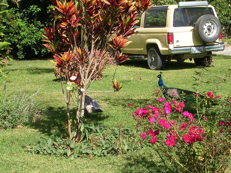 pana2-21-pana2-06-marions-hotel