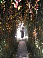 pana2-25-pana2-10-marion-path