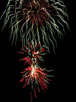 pana2-52-pana2-21-fireworks