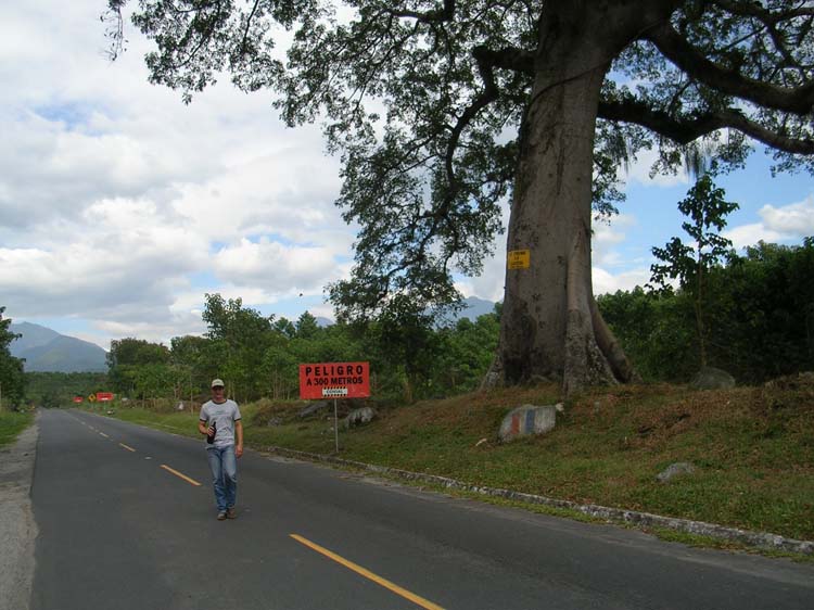 monterico-03-monte-31-giant-tree