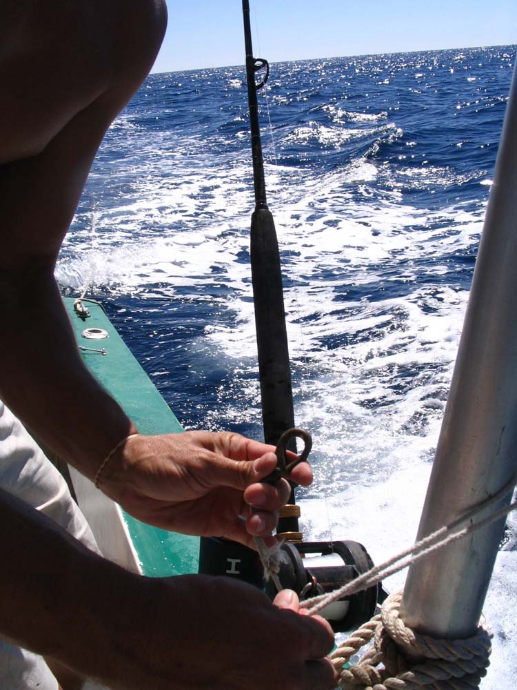 sail-31-attach-reel