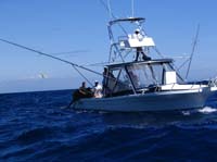 sport fishing boat in guatemala