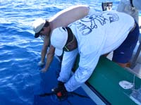 sail-28-kyle-juan-grab