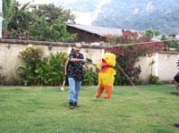 pana3-22-bday-pinata