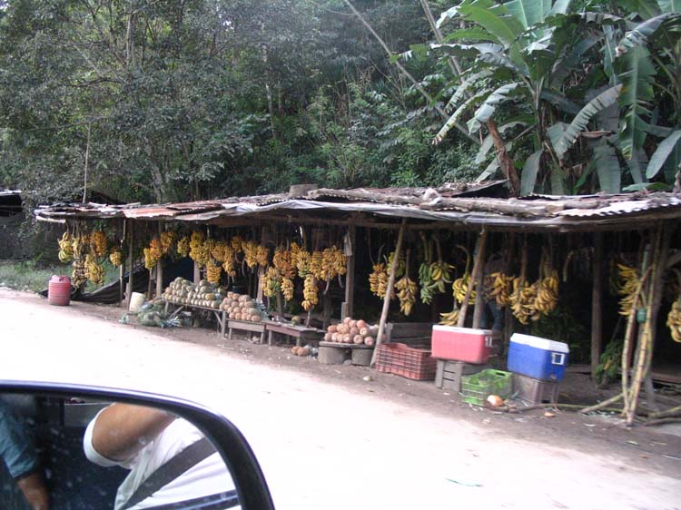 yojoa-11-banana-stands