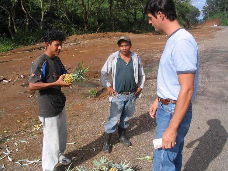 yojoa-12-pineapples-50-cent