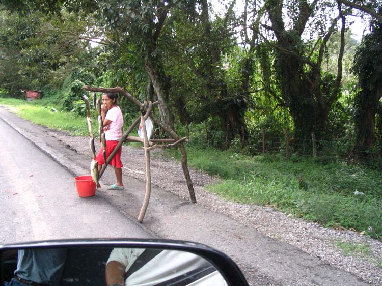 yojoa-14-fish-sellers