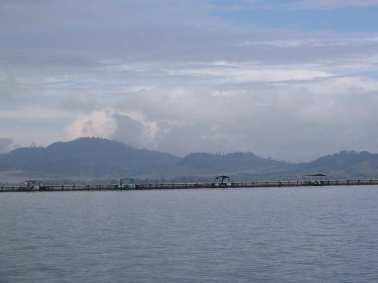 yojoa-22-distant-farm