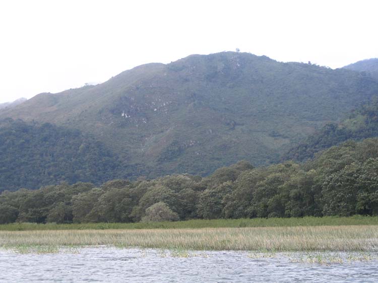 yojoa-23-grass-lines