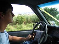 yojoa-08-new-landscape