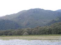 yojoa-23-grass-lines