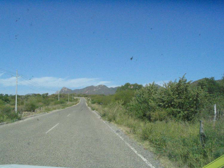 kino-28-close-to-beach