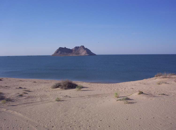 kino-34-shark-island