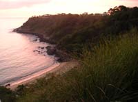 cove by hostel