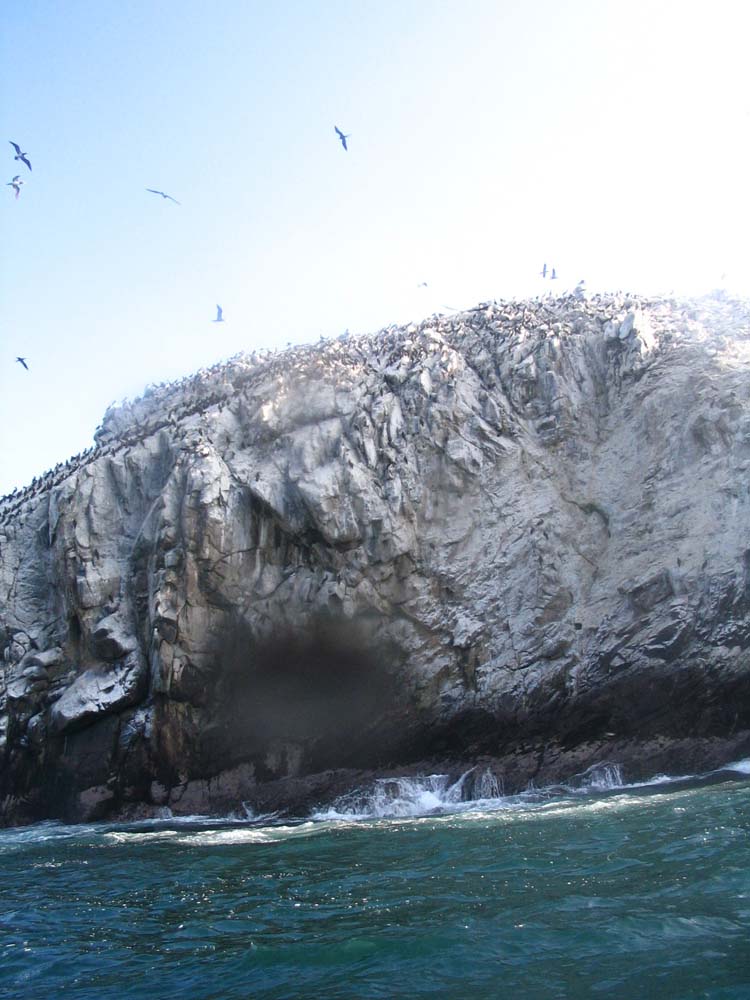 pa-15-snapper-fishing-rock