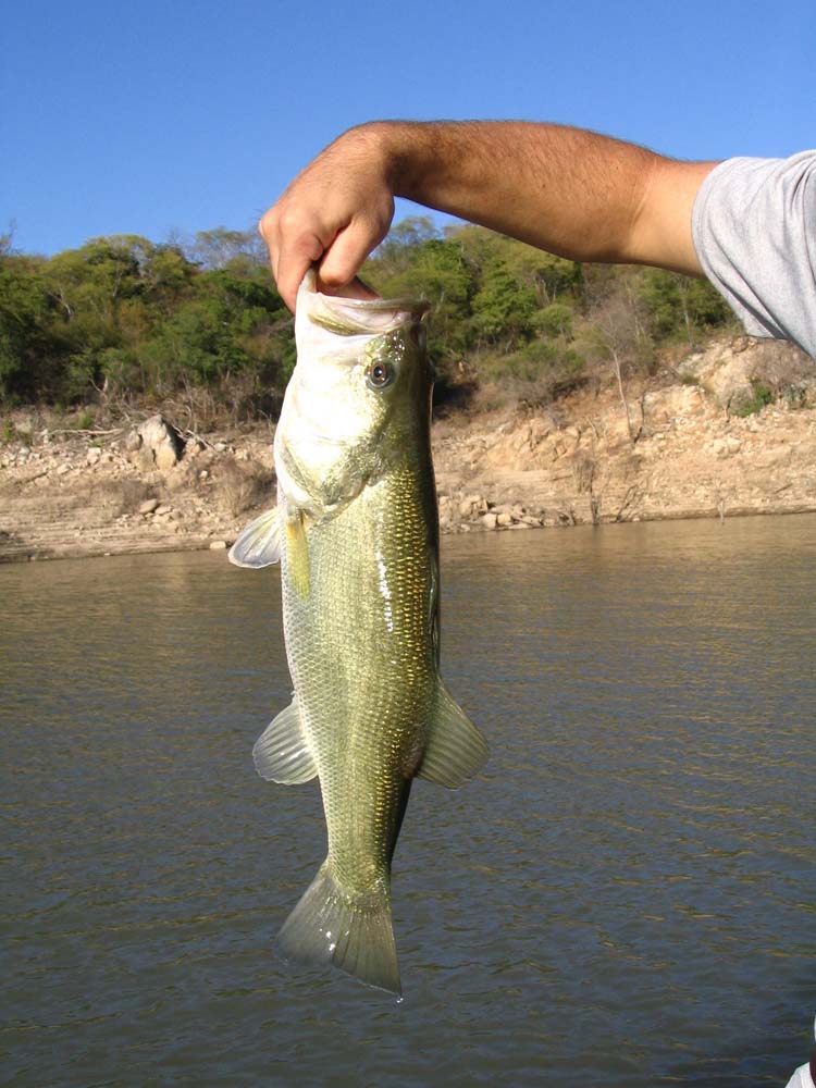 huites-20-first-fish