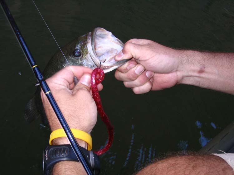 huites-60-ben-hooked