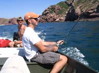 trolling for sailfish in mazatlan
