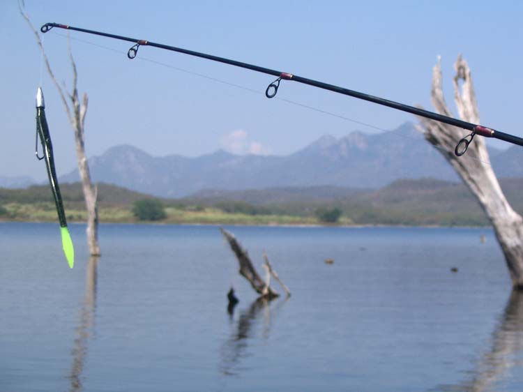 salto-47-worm-fishing