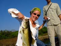 huge bass from el salto