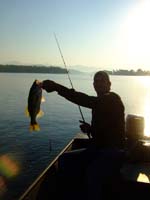trophy bass on lake el salto mexico