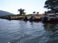 salto-95-anglers-inn